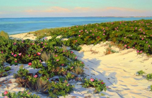 Edgartown Ragosa Shadows © Marjorie Mason